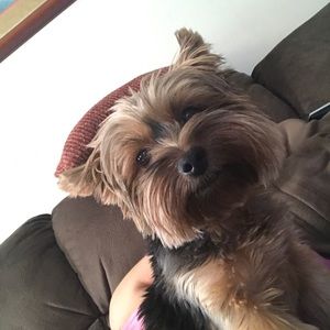 Meet your Posher, Kelleyann